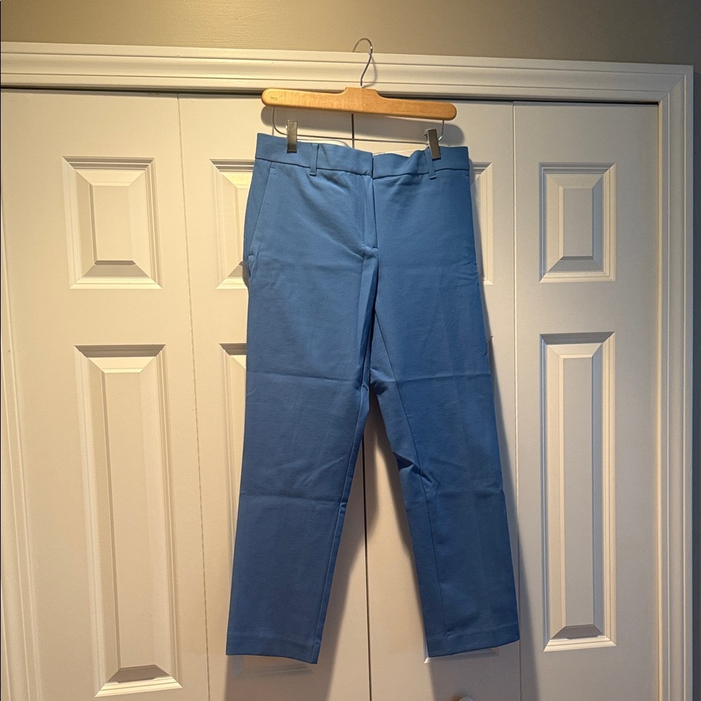 Ann Taylor Sky Blue Ankle Pants